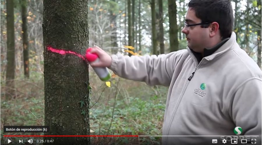 Video Spray de pintura forestal de larga duración STRONG MARKER SOPPEC